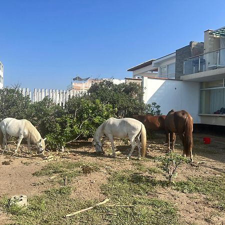 Yolo House Peru Bed & Breakfast Asia Luaran gambar